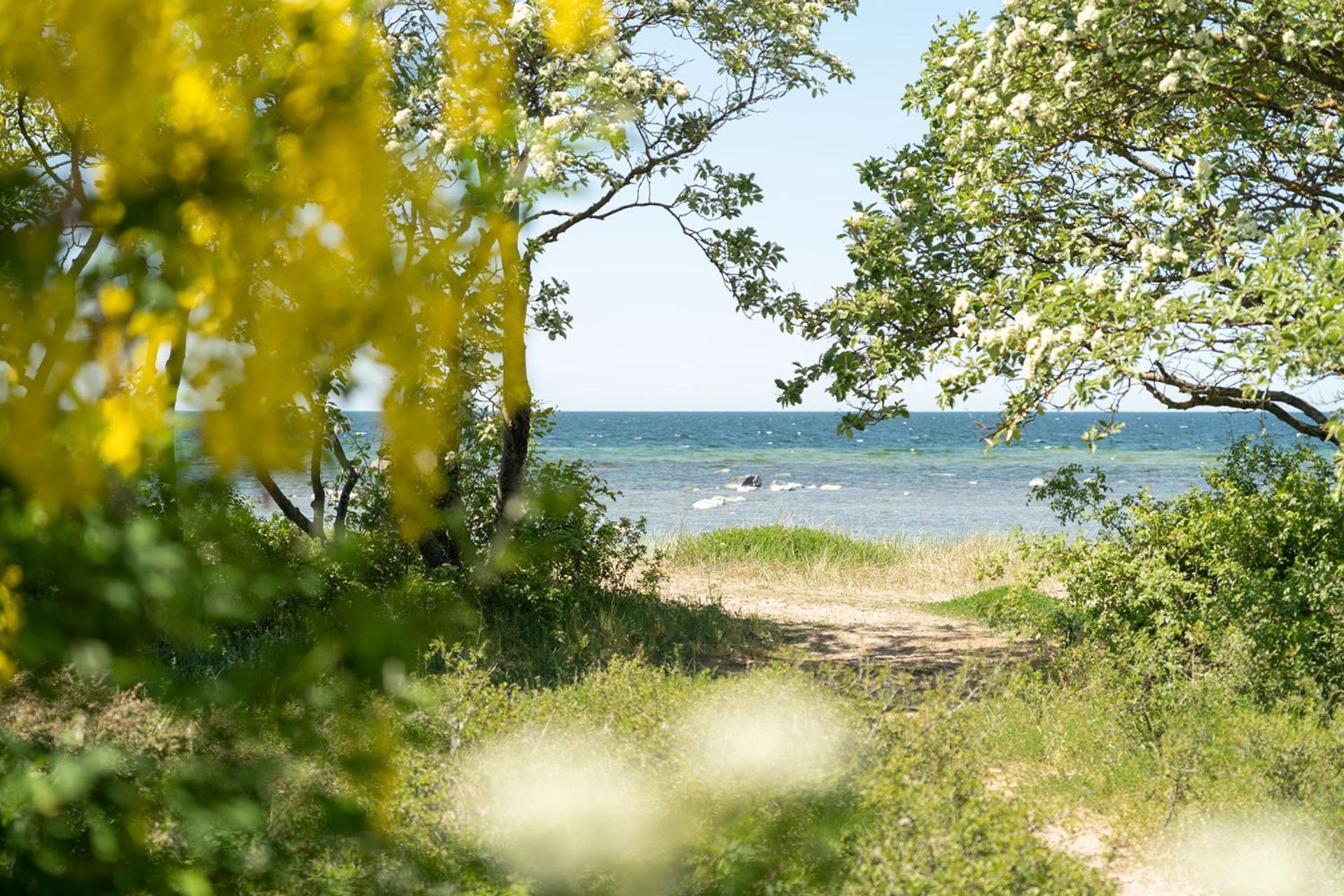 فندق Visby Strandby المظهر الخارجي الصورة